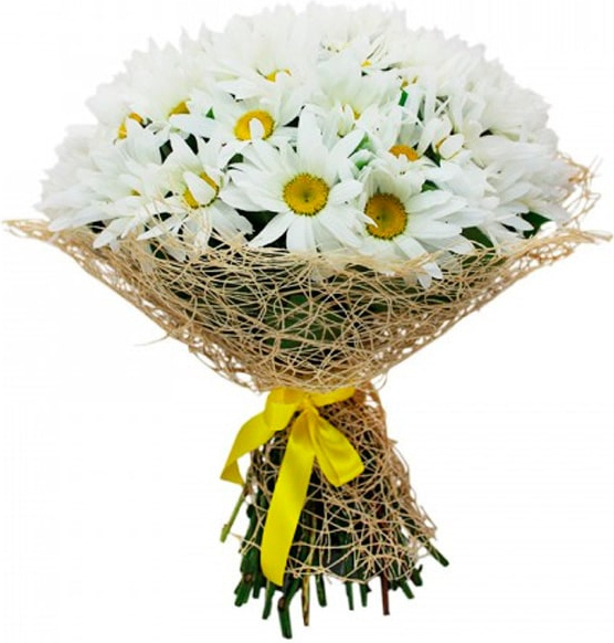 из садовой ромашки Букет «Сад»