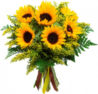 Букет «Парад» Букет «Парад»